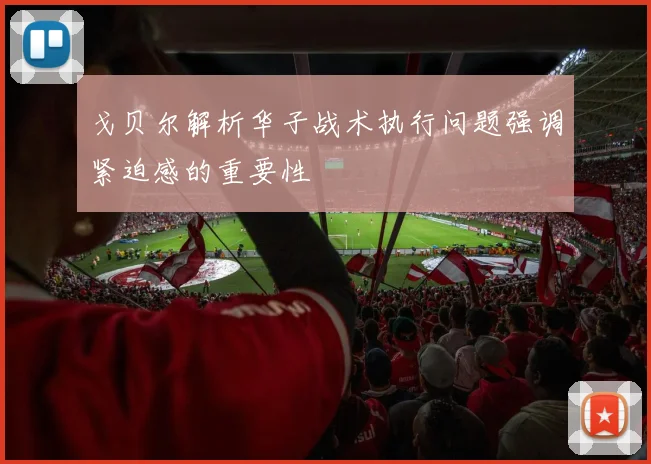 戈贝尔解析华子战术执行问题强调紧迫感的重要性