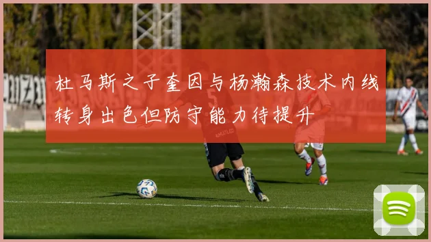 杜马斯之子奎因与杨瀚森技术内线转身出色但防守能力待提升